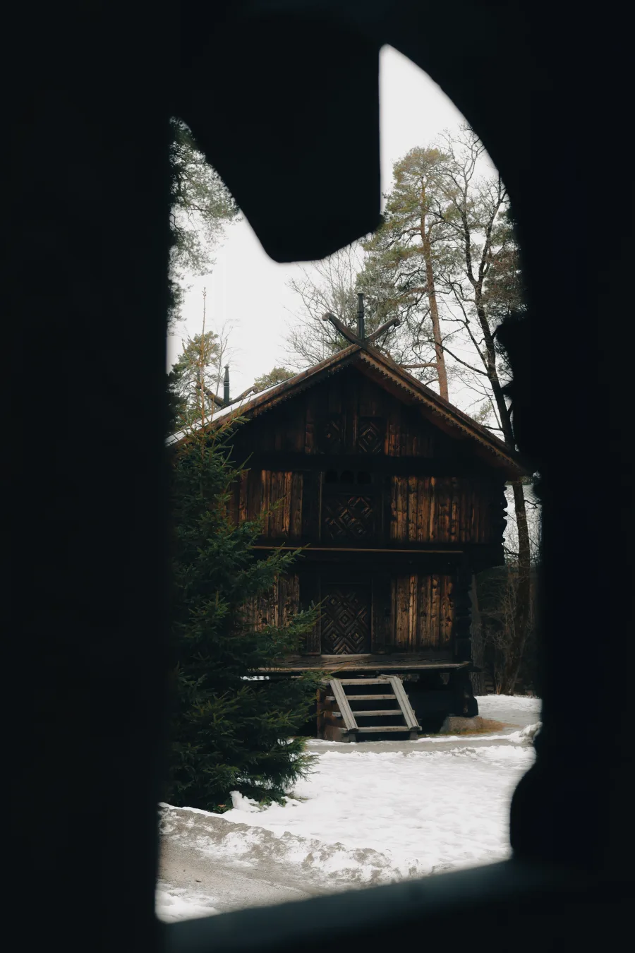 Ventana al bosque — Oslo, Noruega